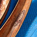 Upgrade to Tubeless Tires for a Smoother and Faster Road Ride