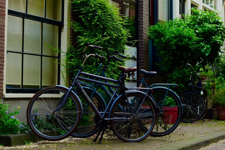 Three bicycles parked against a picturesque city wall with lush greenery.