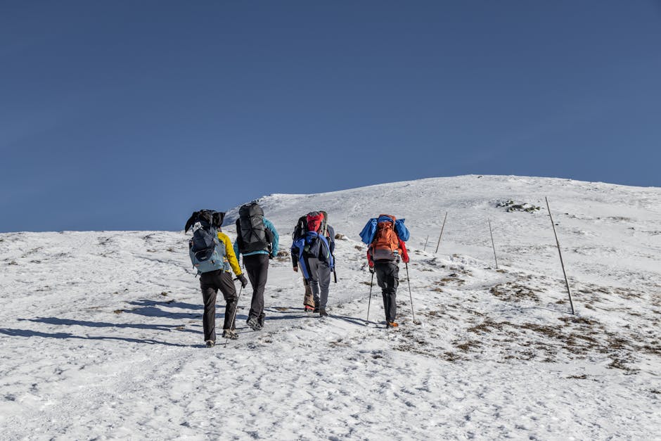 Adults hike up a snow-covered mountain under clear blue skies, embodying adventure and winter exploration.