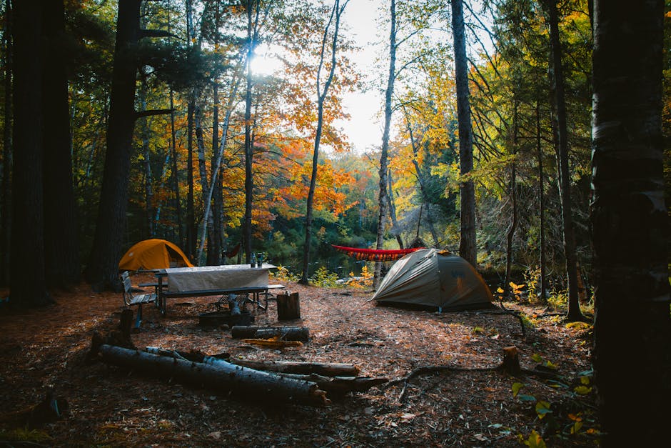 A serene camping site in a colorful autumn forest in Wisconsin, featuring tents and campfire setup.