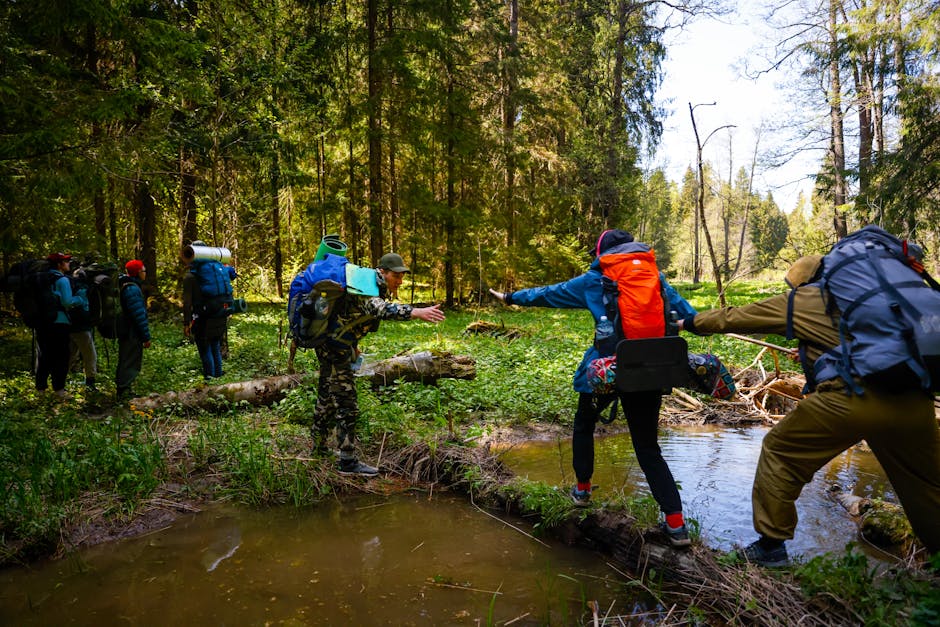 A group of hikers with backpacks navigate a stream in a lush green forest.