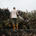 Sustainable Gardening For Beginners: The Ultimate Guide to Building a Capsule Wardrobe