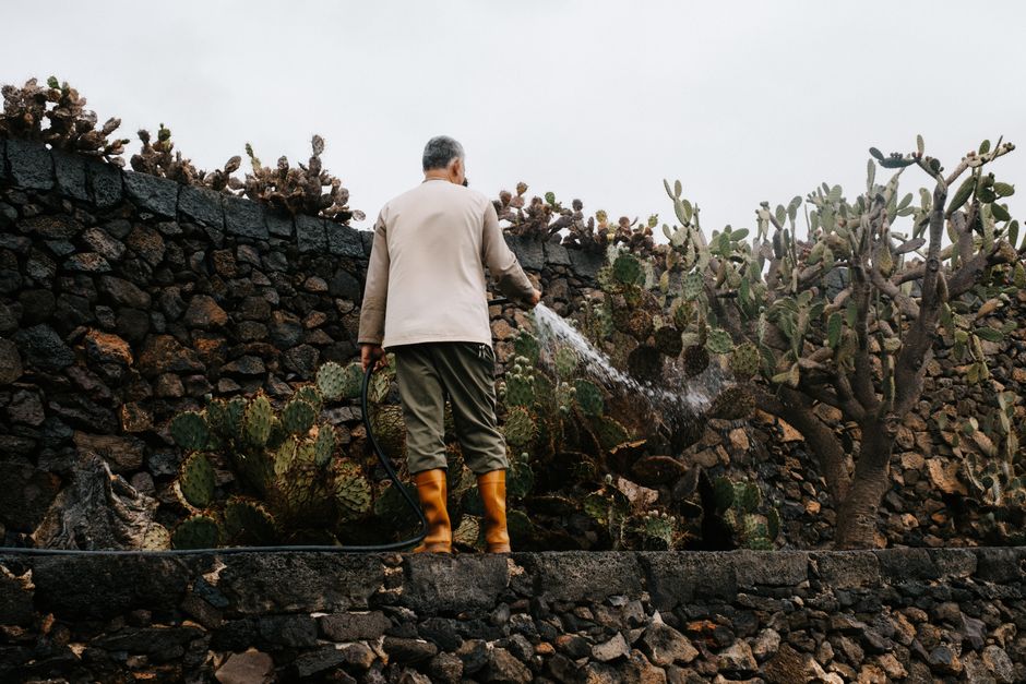 Sustainable Gardening For Beginners: The Ultimate Guide to Building a Capsule Wardrobe