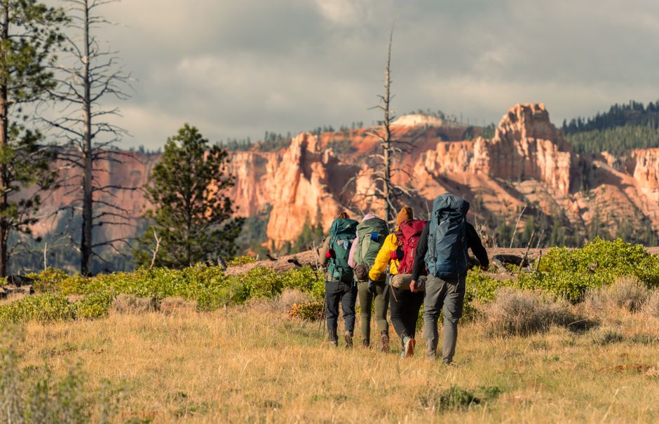 Trekking Backpack Guide: Trekking Backpack Fit: Why 40 Liters Hits the Sweet Spot
